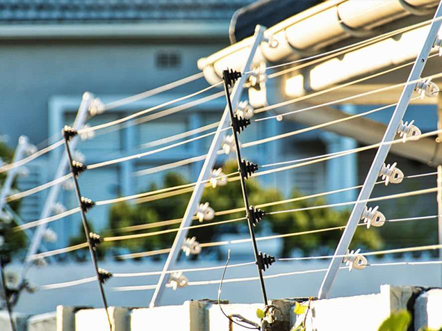 Electric Fence